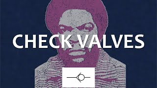 Check Valves (Full Lecture)