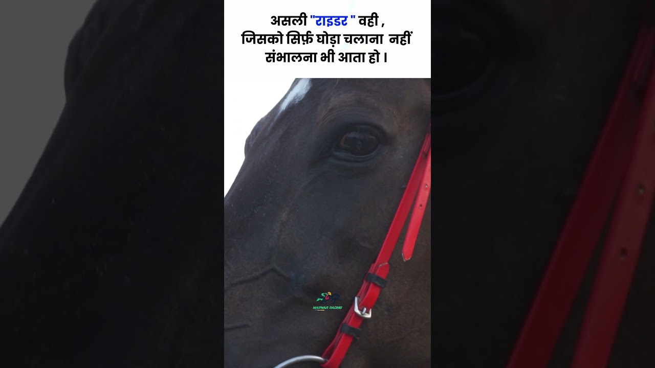 The Real Trainer🔥🔥