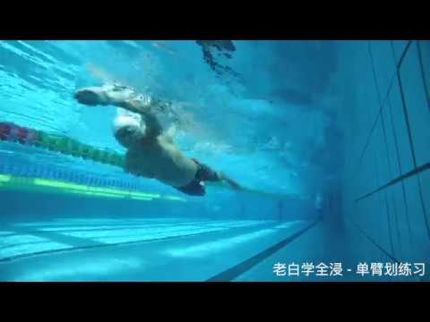 老白学全浸   单臂划练习