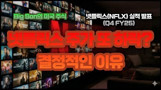 넷플릭스 NFLX 주가 하락 이유