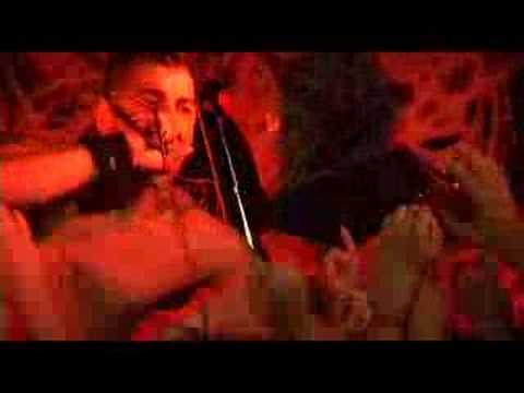 zebrahead anthem