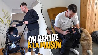 Première semaine à la maison (MJ découvre les chiens)