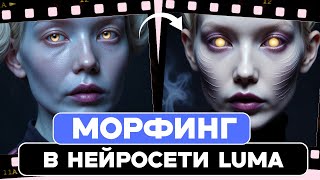 :      /   LUMA