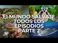 El mundo salvaje todos los episodios parte 2  free documentary nature   espaol