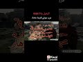 البخيل وانا الزمن الجميل 