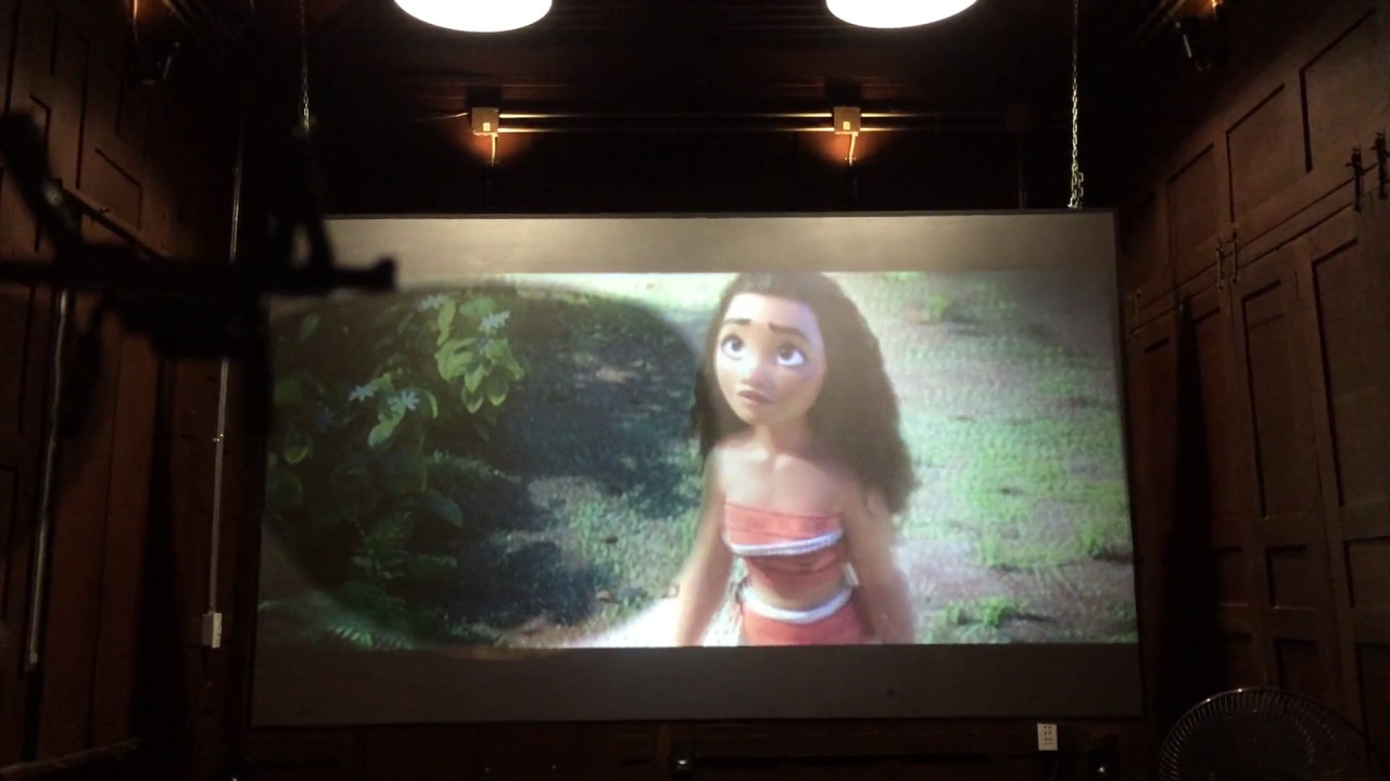 New D.I.Y 3D PASSIVE with dual projector rd806