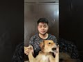 Me and my dog? NOT like them. 🐶💪🏼