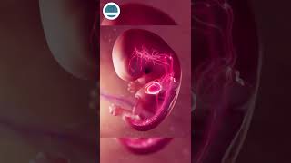 💖 The Real Secret To The “Pregnancy Glow” | Not Just Hormones But Happiness, Love &amp; Self-Care! ✨