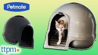 Clean Step Litter Dome from Petmate Review!