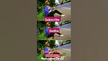 Awwale Ciroo New Cover Oromo Music 
