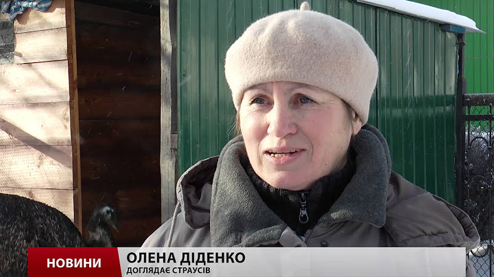 Як живе страус, якого український боєць врятував у зоні АТО