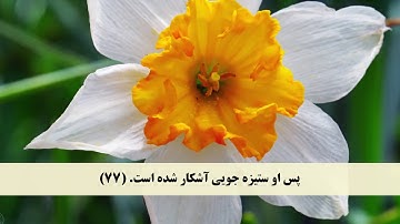 جز 23 ( سوره یس از آیه 71 تا 83 ) با ترجمه فارسی صوتی و تصویری