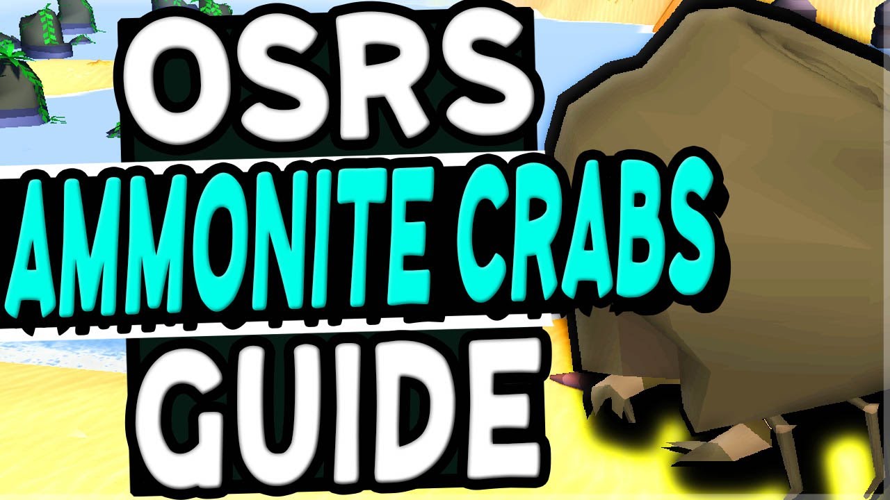 The Ultimate Ammonite Crabs Guide Old School Runescape - YouTube