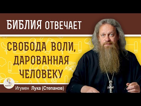 Что означает СВОБОДА ВОЛИ, дарованная человеку Богом ? Игумен Лука (Степанов)