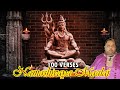 Namashivaya maalai  deshan styler naidoo  shivarathri  lord shiva  mahadeva
