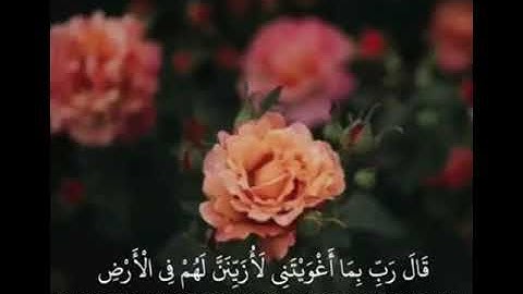 قران كريم بصوت عمير شميم🌸🕊||حالات واتس أب||قال رب بما اغويتنى😍🌷||😍