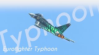 GHOST TIGER // Eurofighter Typhoon solo display in special livery at ILA 2018
