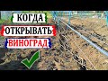 🍇 Когда открывать виноград весной 2021 года. При какой температуре погибают почки в глазках?