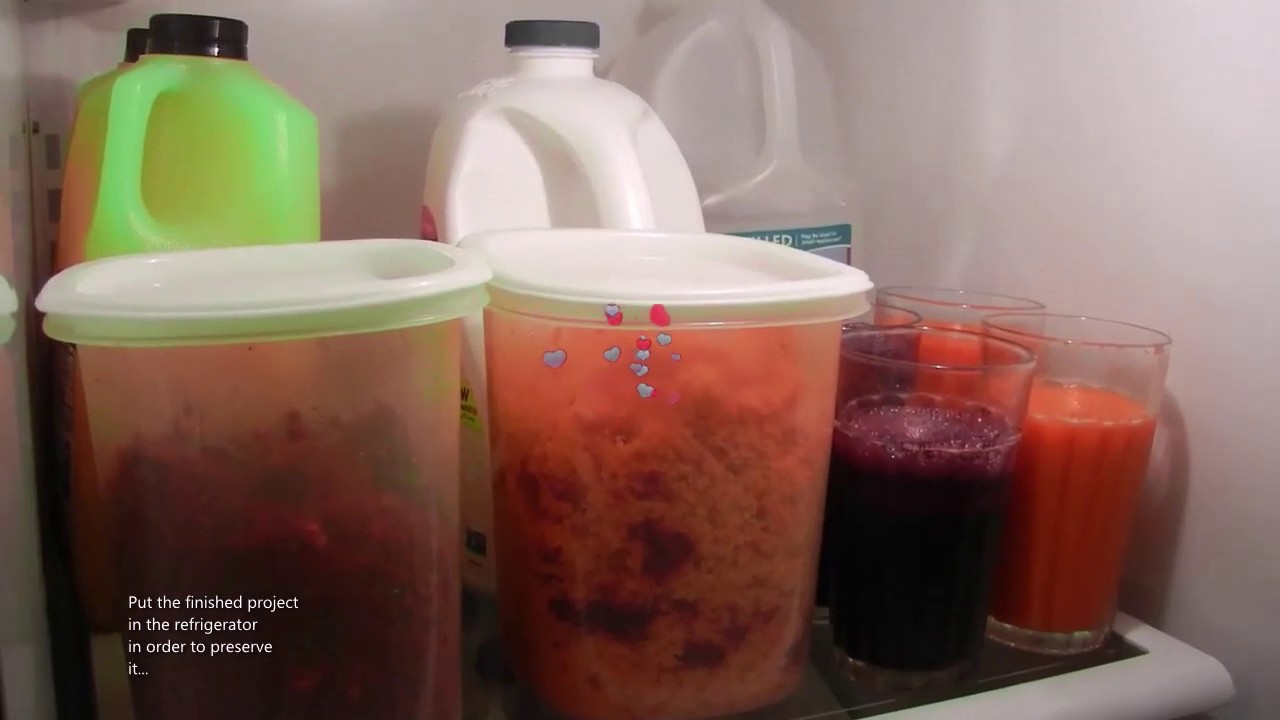 Best Low Cost Compact Vertical Cold Press Juicer Fusion Juicer Demo