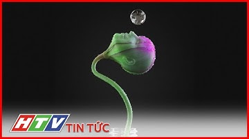 TÁC PHẨM 3D KÊU GỌI NÂNG CAO NHẬN THỨC VỀ MÔI TRƯỜNG  | HTV TIN TỨC