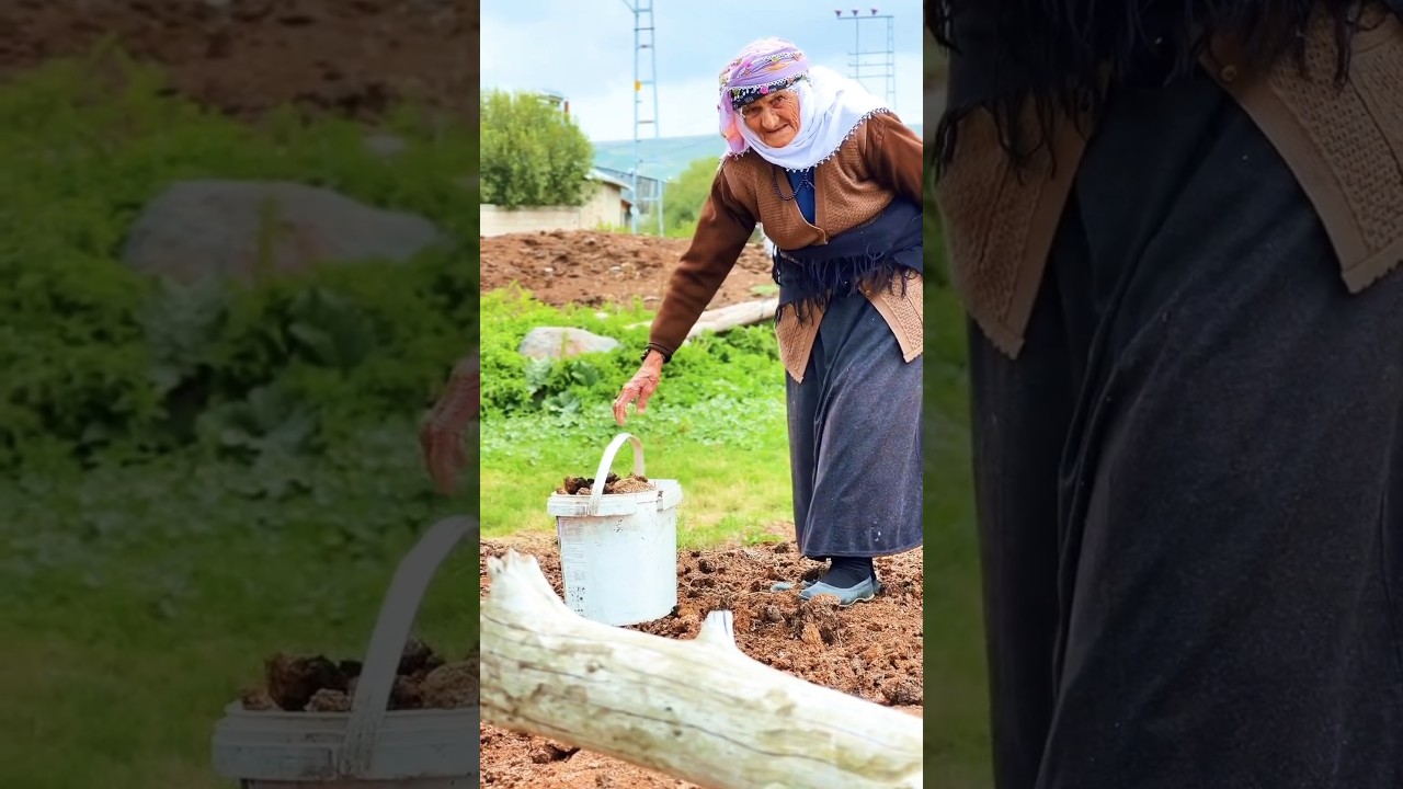 Kolay gelsin ana#yt #ytviral #öneçıkar #doğa #çiftçi #hayvan #hayvanlar #farm #adorable #film #inek