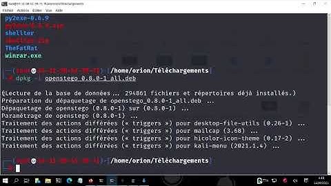How to install openstego in kali linux