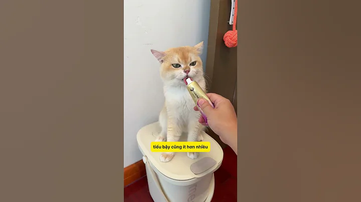 Mèo tôi từ kêu 24/7 thành ngoan ngoãn chỉ sau 3 ngày dùng kem xoa dịu này #notapetvn
