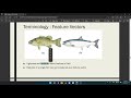 Maching Learning Kuppi Part 1