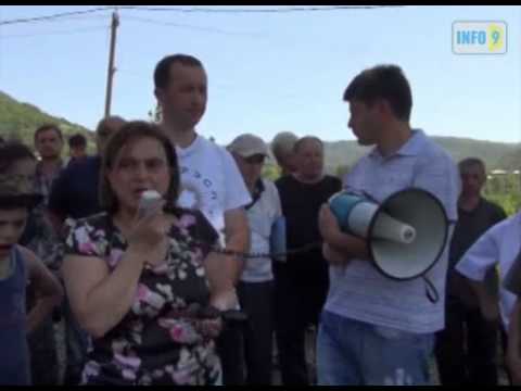 მანანა კობახიძის შეხვედრა