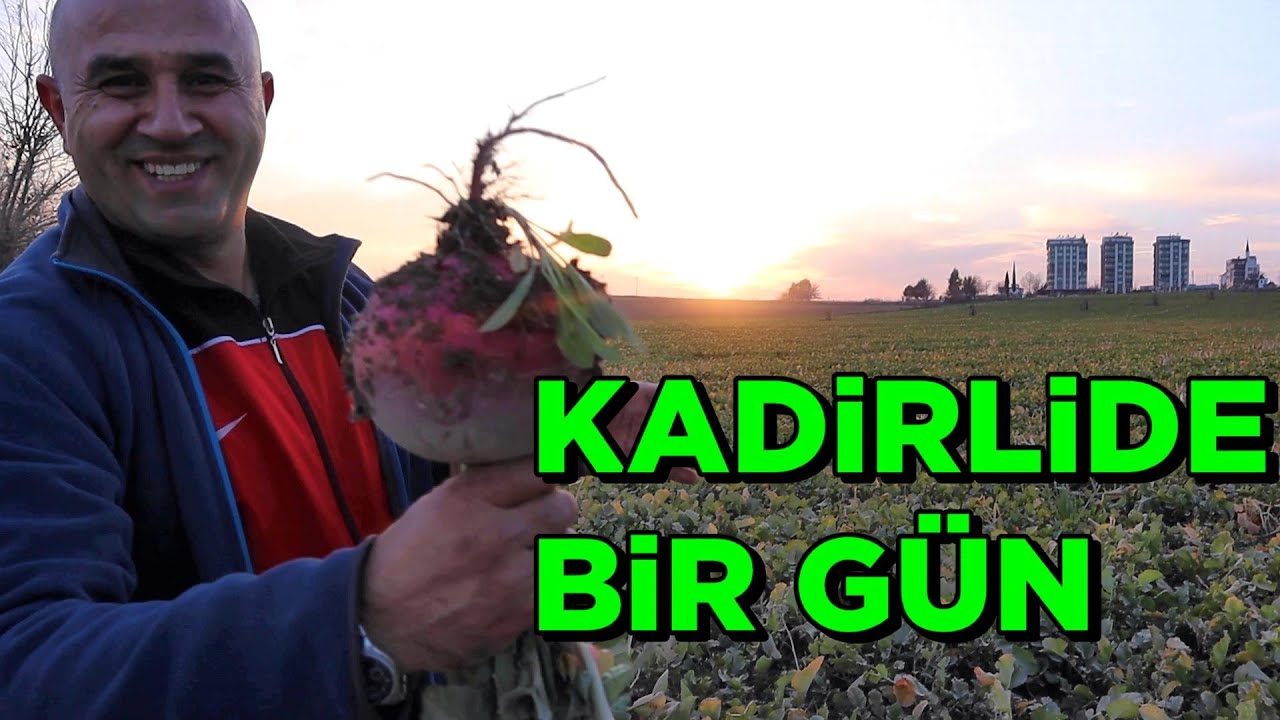 OSMANİYE KADİRLİ'DE Bir Günde Neler Yenir