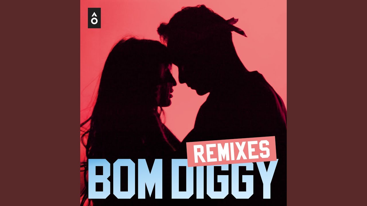 Bom Diggy DJ Shadow Dubai Remix