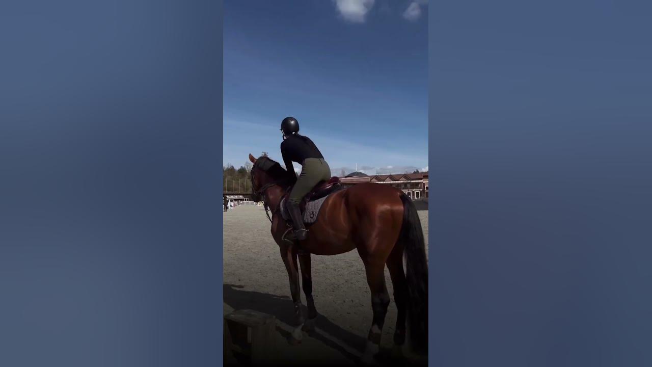 #лошади #конкур #конныйспорт #horse #equestrian #horseriding # ...