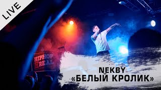 Nekby "Белый кролик" (live 15.11.2019 @ Glastonbery, Москва)