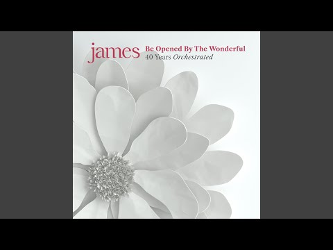 Wikipedia James Laid
