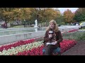Behind the scenes with WKTV staff and volunteers at Artprize Live! Part II