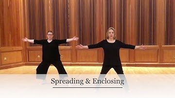 Shape Qualities in the Dimensional Scale