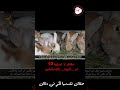 10 حقائق لا تعرفها عن اليهود والاسرائليين