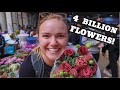 Asia's Largest Flower Market | China