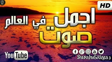 تلاوة هادئة تريح القلب 💚 والعقل تنسيك الدنيا وهمها 💚 قران كريم💚 بصوت جميل جميل جدا