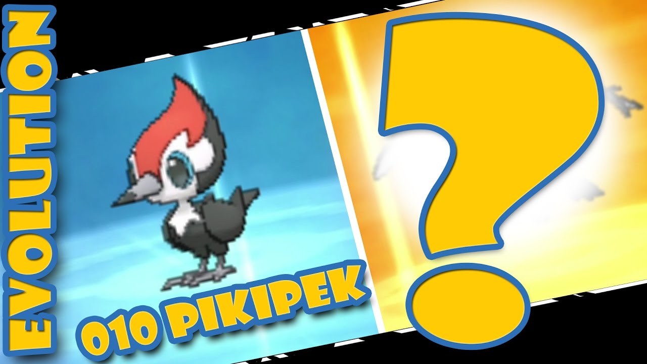 Pikipek Evolution Chart