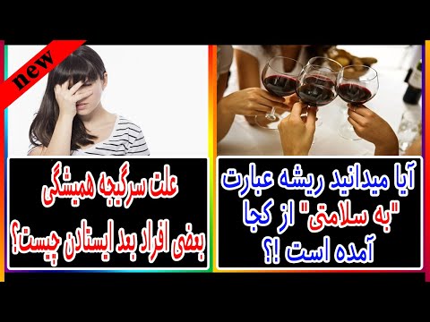 تصویری: لئونید ولودارسکی: بیوگرافی و حقایق جالب