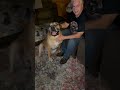 Watch how he says ‘Sorry Paw’😆🥰#shorts #cute #dog #happy #doglover #love #sweet #dogs #pets #short