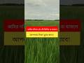 জমির দলিলে এই ১টি জিনিস না থাকলে আপনার টাকা ডুবে যাবে! #জমি_কেনার_নিয়ম   #জমি_কিনুন_সাবধানে #shorts