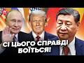 🤯ДИКЕ рішення Китаю по ВІЙНІ: приховати ЦЕ Сі вже НЕ ЗМОЖЕ! ОСЬ, що НАСПРАВДІ задумав Пекін