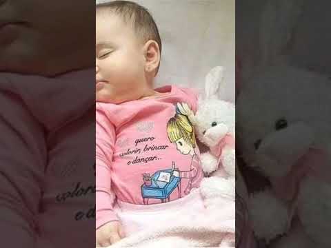 نني يابشة