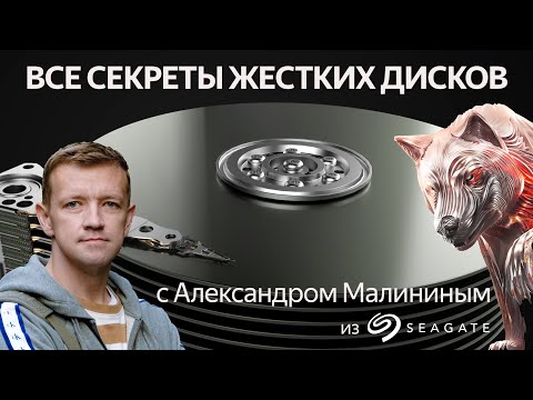 Все секреты жестких дисков с Александром Малининым (Seagate)