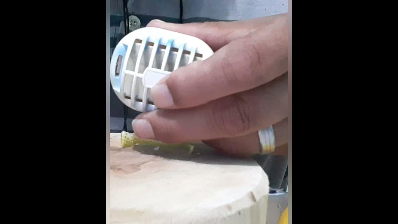 como usar casca de laranja no refil para espantar pernilongo - YouTube