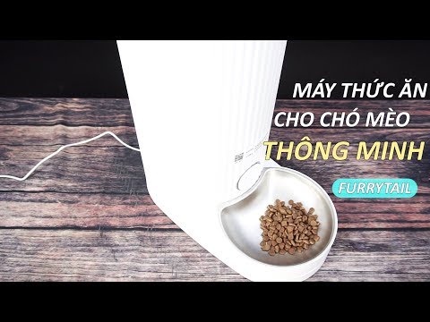 Video: Tại Sao Bạn Cần Một Máy Cho Mèo ăn Tự động