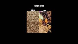Which is best phone zoom⁉️ #zoom #dailyshorts #goviral #funny