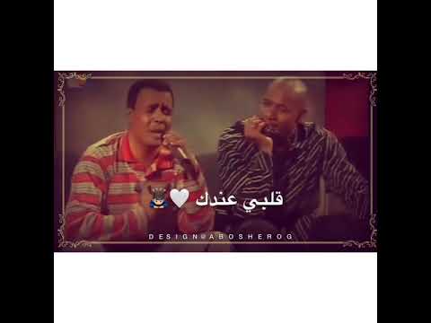 نادر خضر الماضي والحاضر